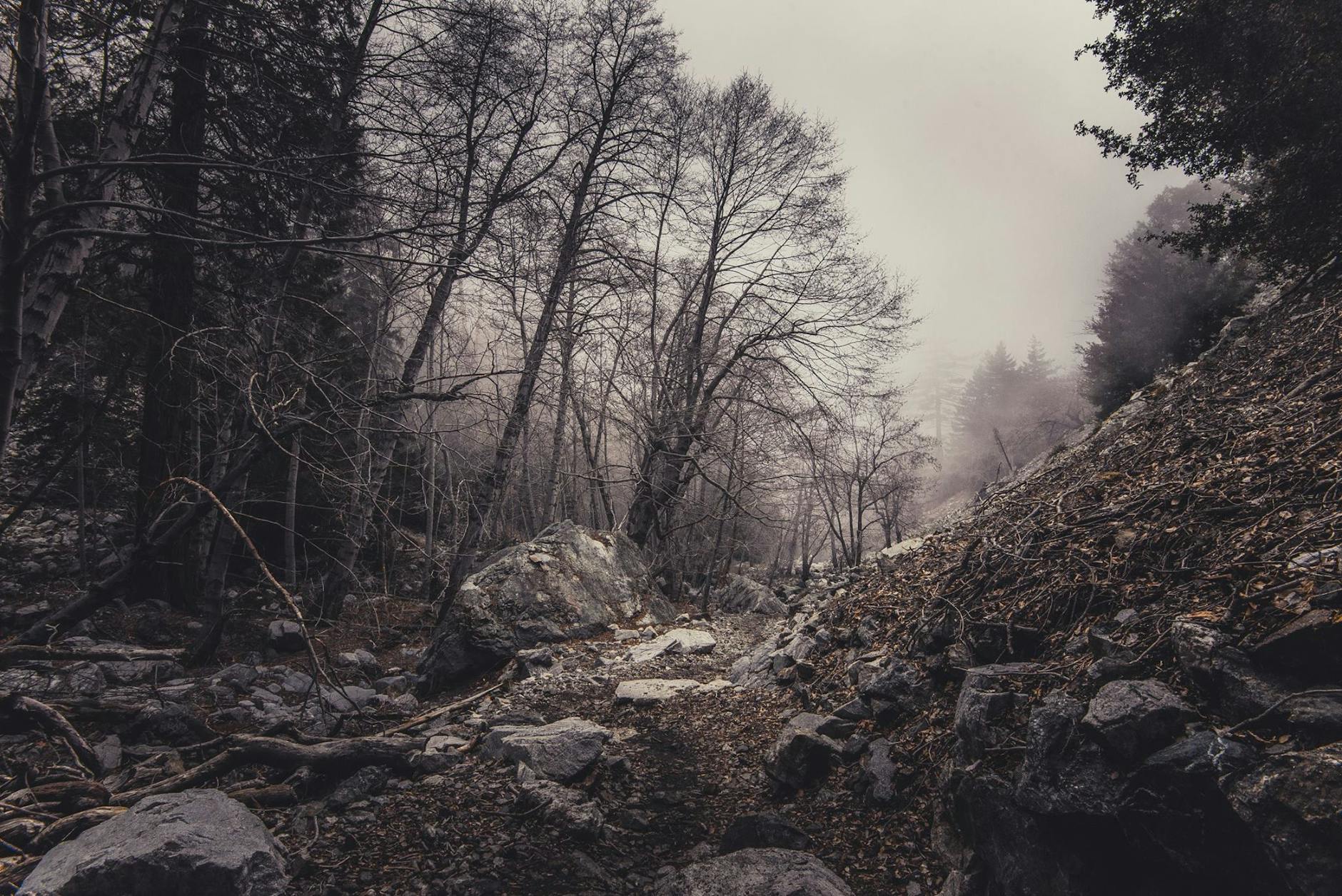 The Folklore Files: Haunted America