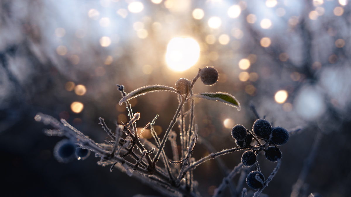 Rest is Magic: Out of office until the new year!